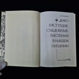 Картинка 4