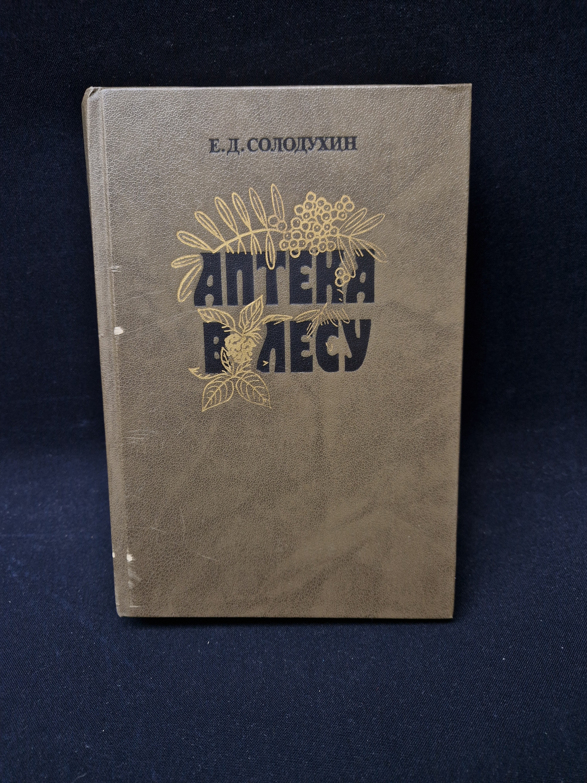 Картинка 1