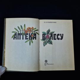 Картинка 4