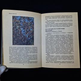 Картинка 6