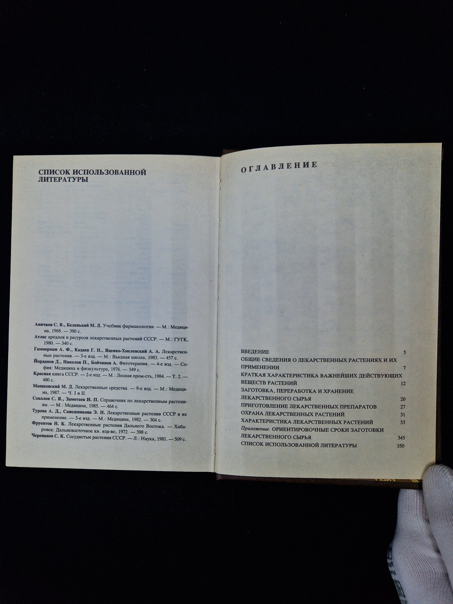 Картинка 6