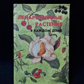 Картинка 1