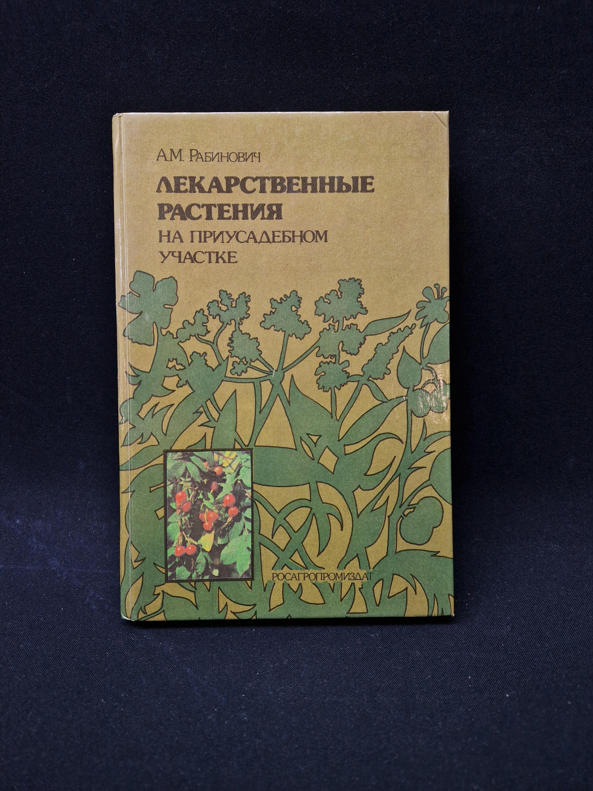 Картинка 1