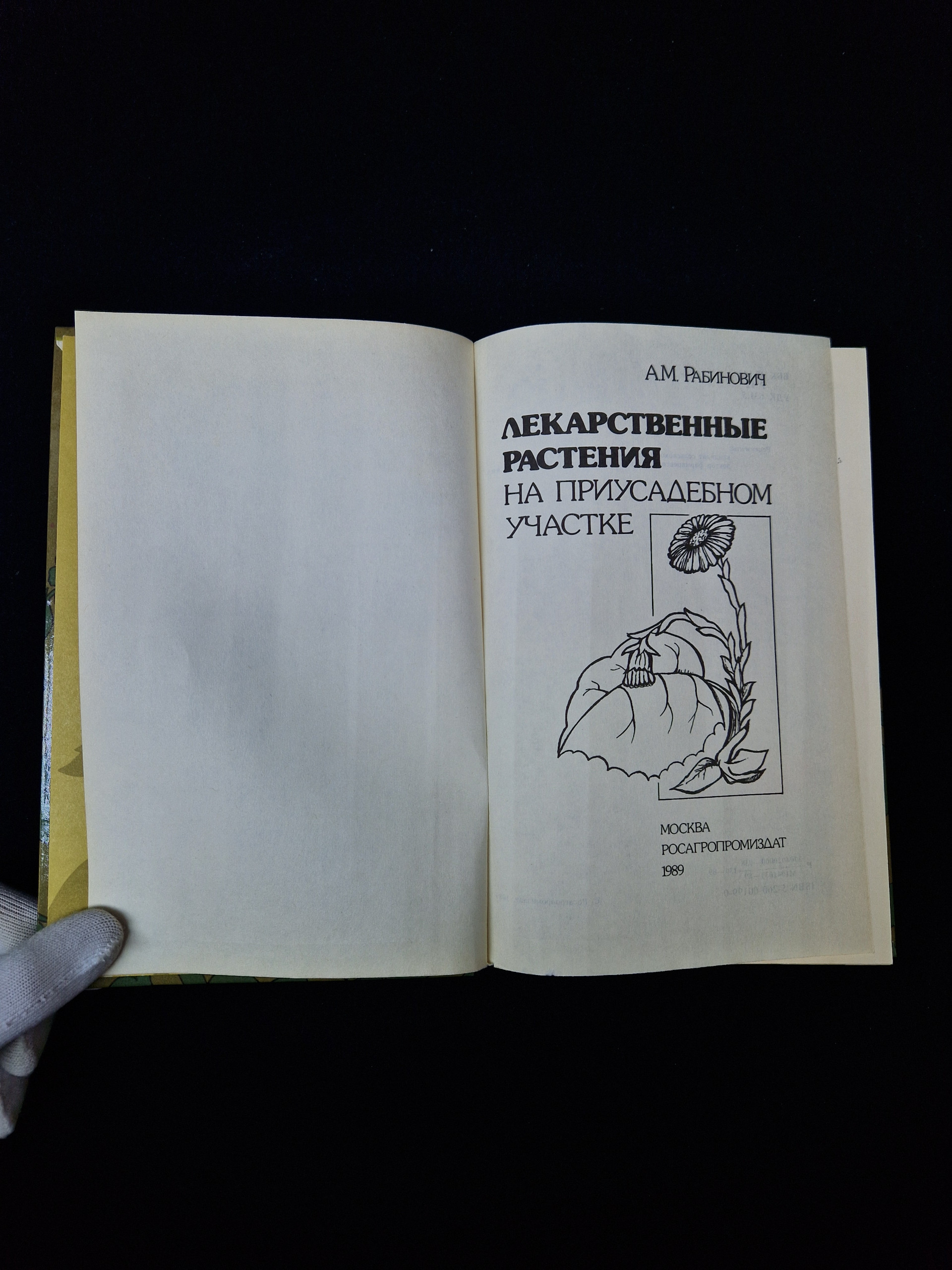 Картинка 4