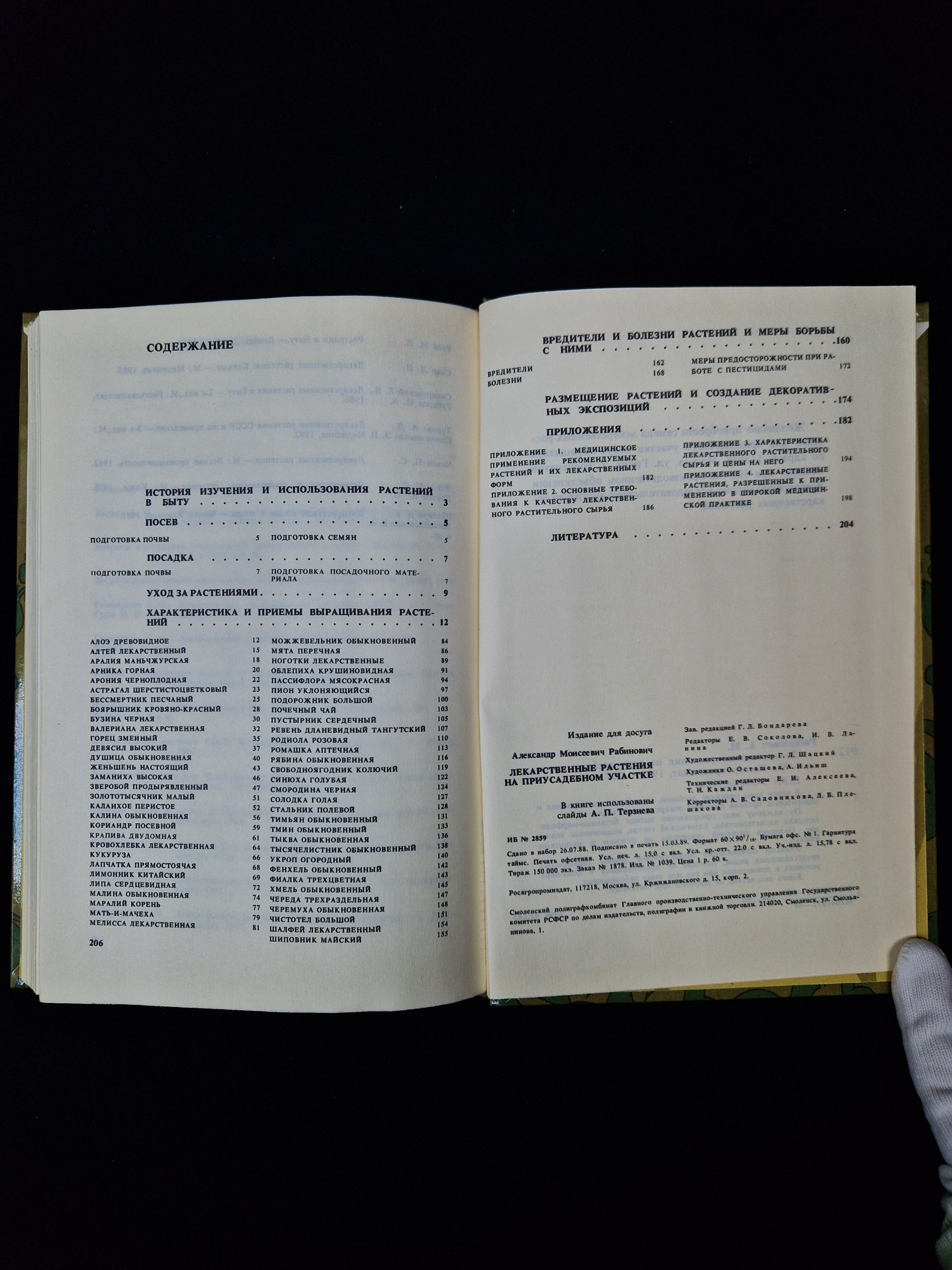 Картинка 6