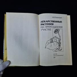 Картинка 4
