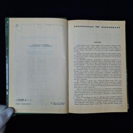 Картинка 5
