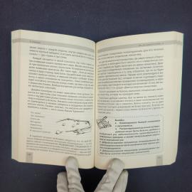 Картинка 5