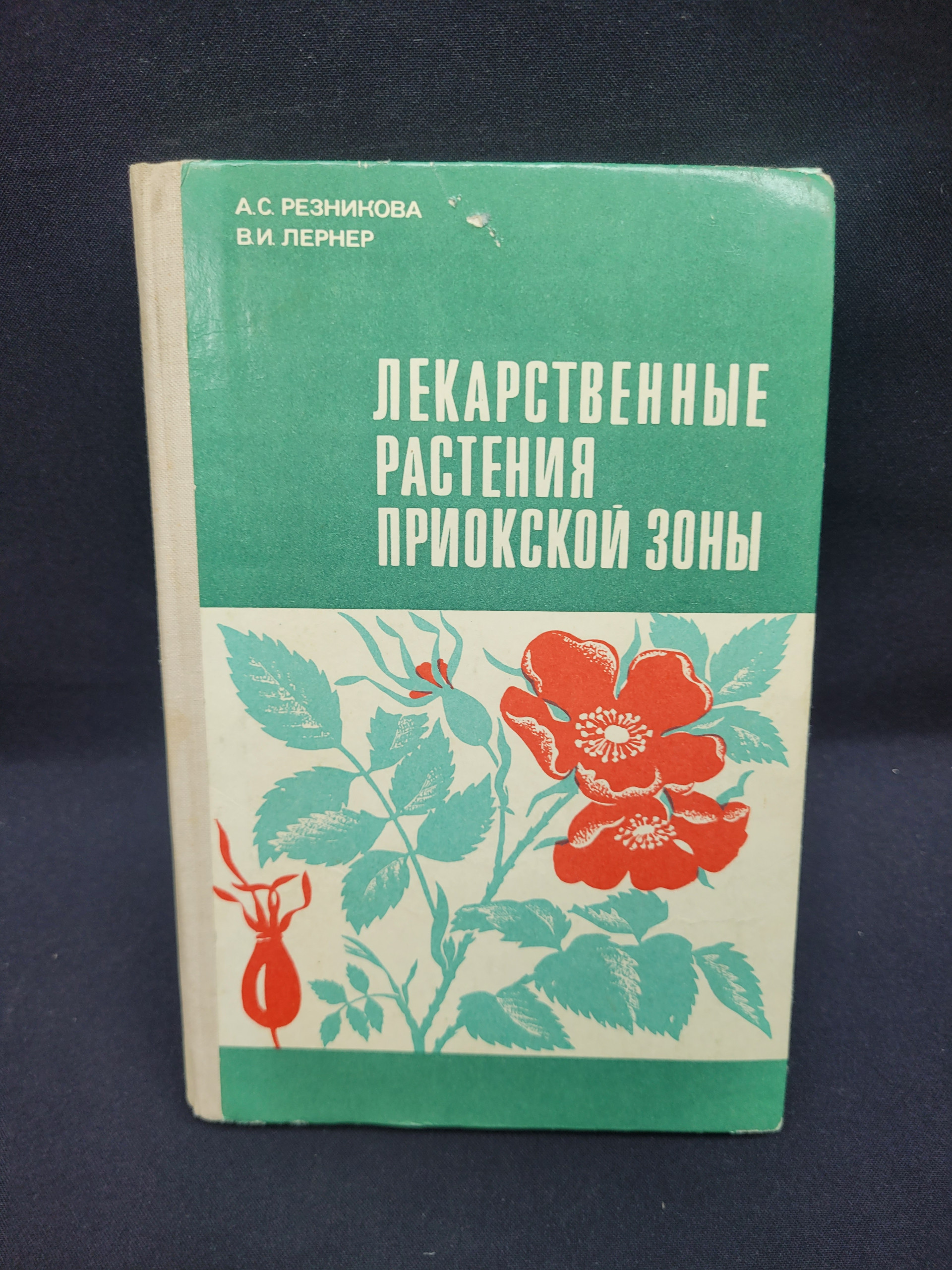 Картинка 1