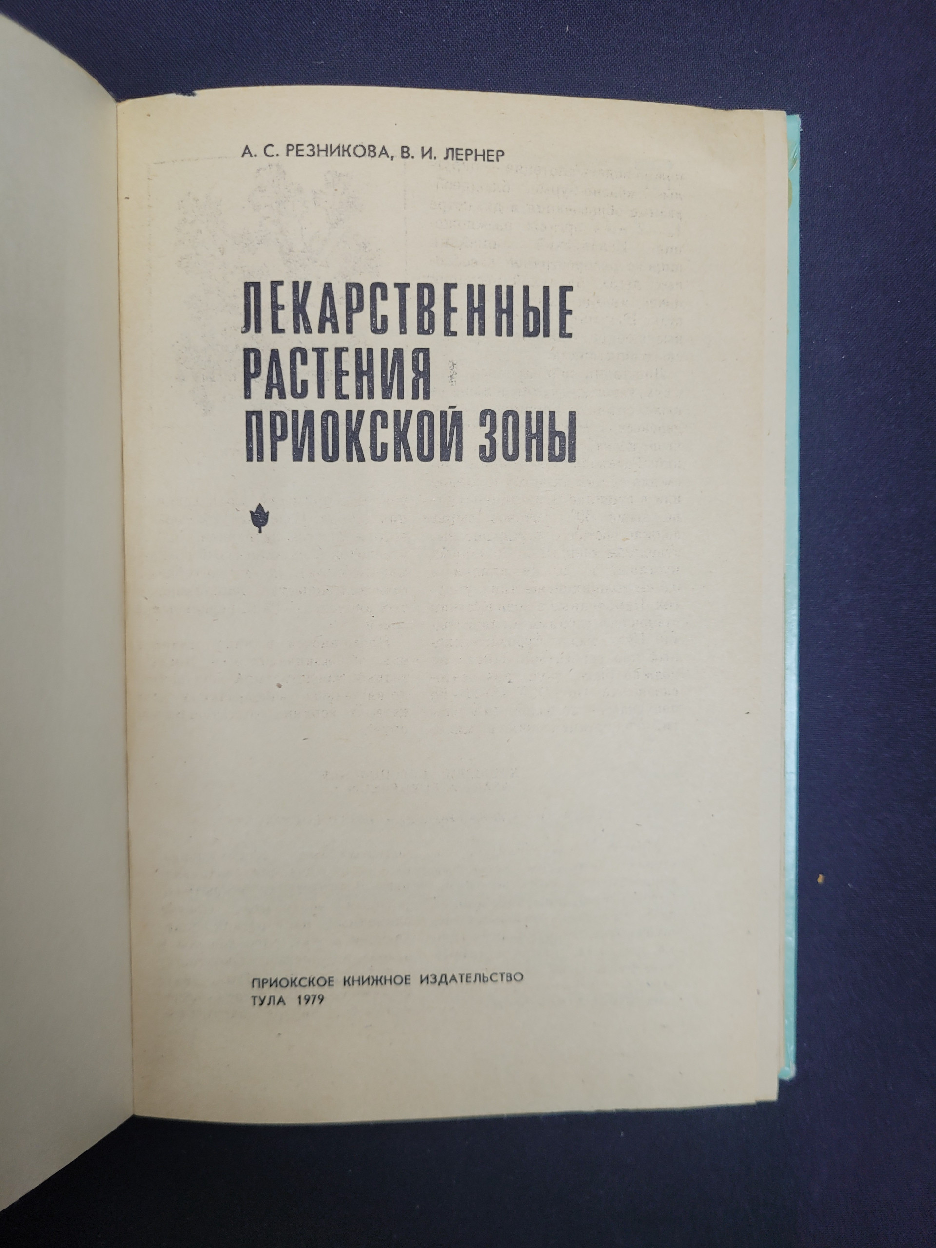 Картинка 4