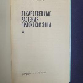 Картинка 4
