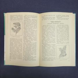 Картинка 5