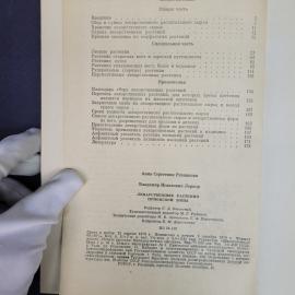 Картинка 6
