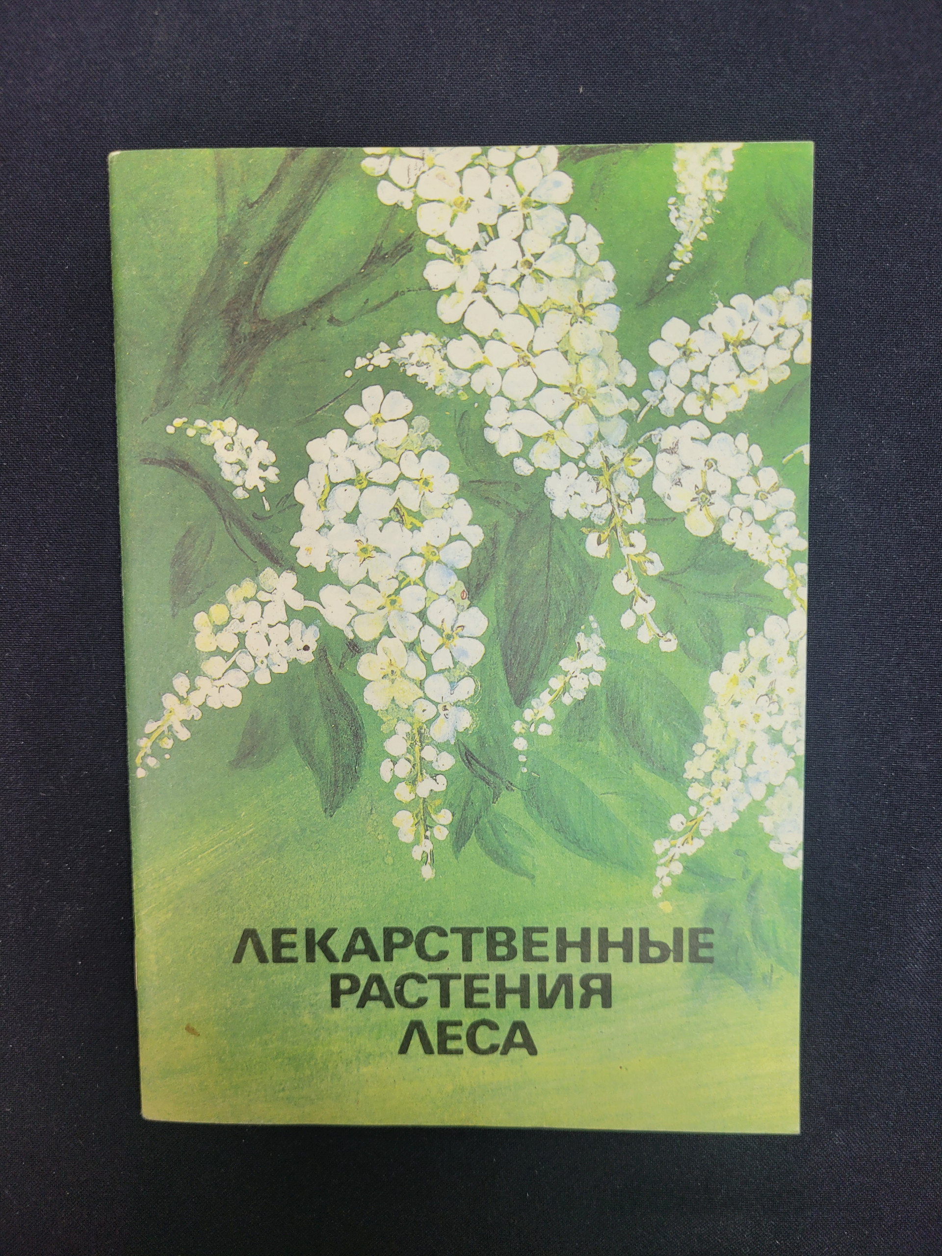 Картинка 1