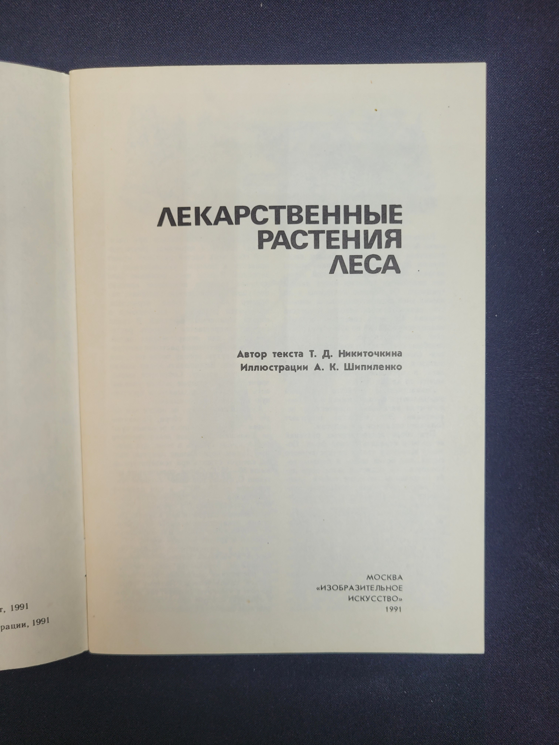 Картинка 3