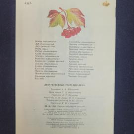 Картинка 2
