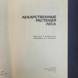 Картинка 3