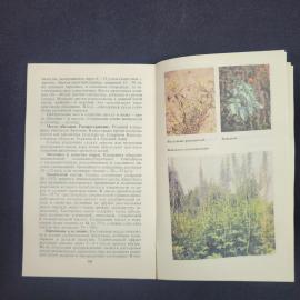 Картинка 5