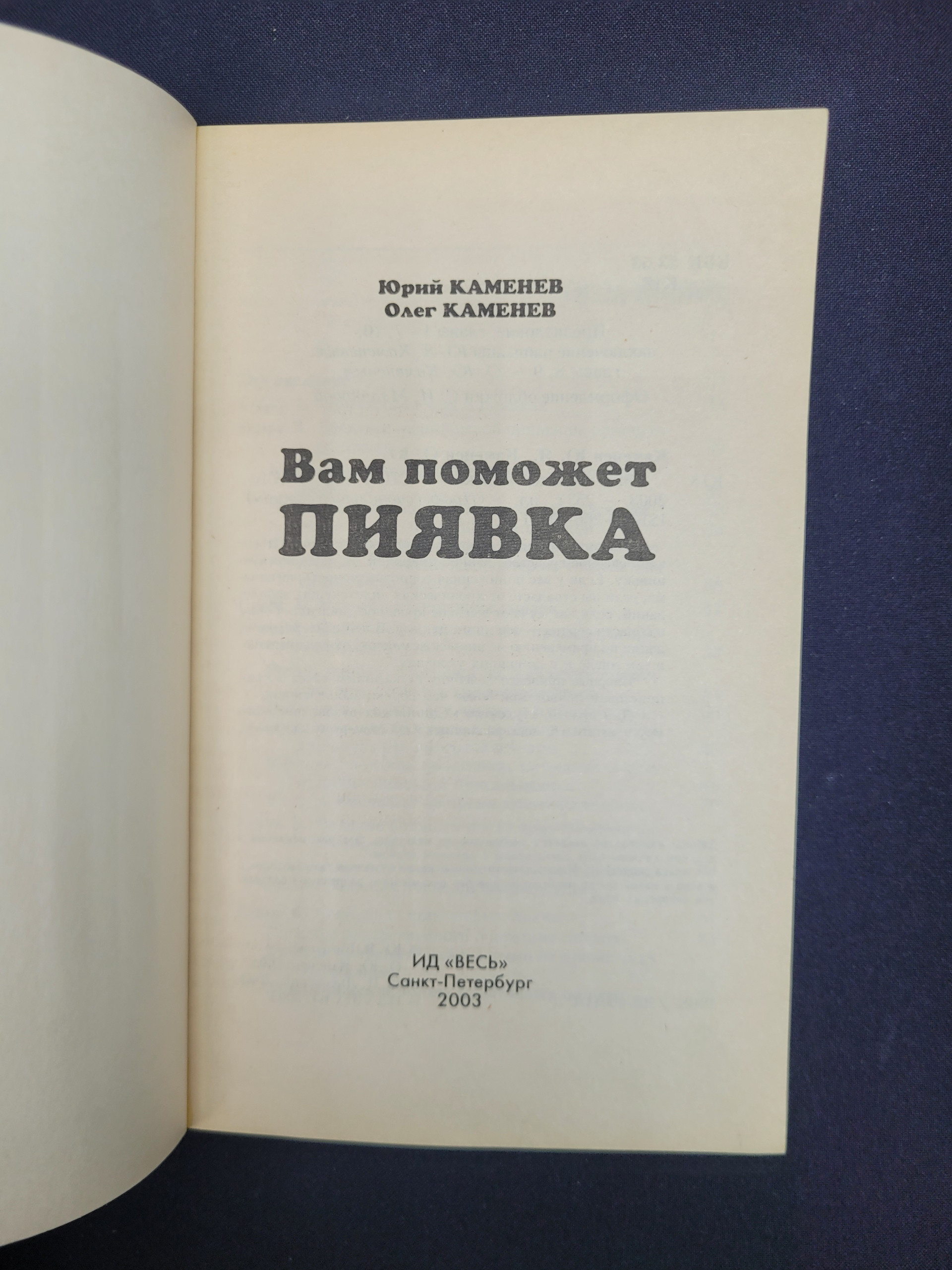 Картинка 4