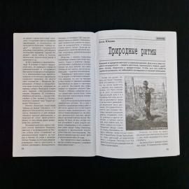 Картинка 4