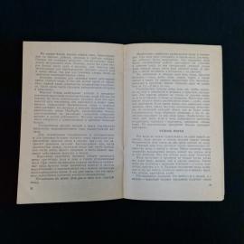 Картинка 4