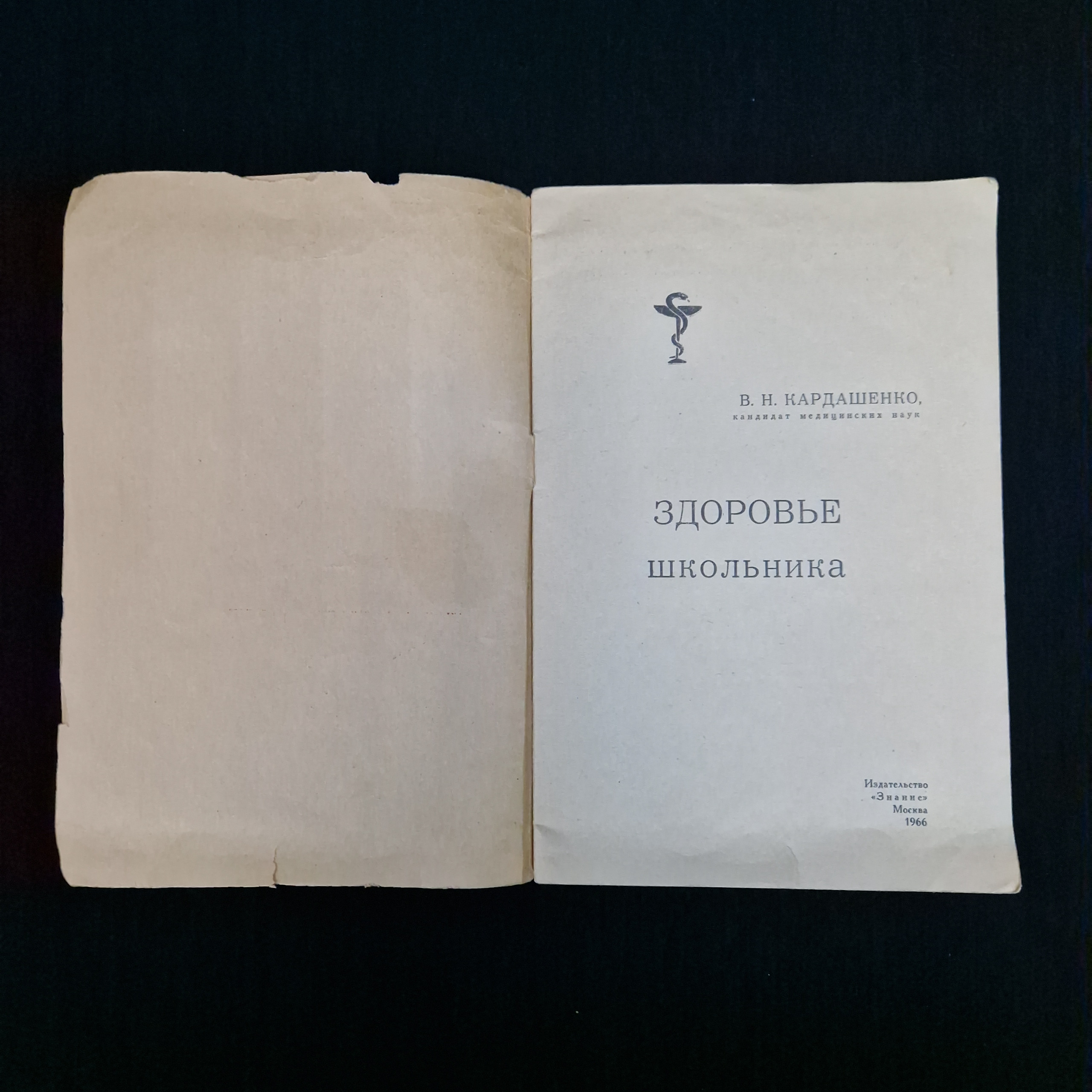 Картинка 3