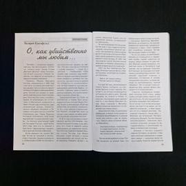 Картинка 4