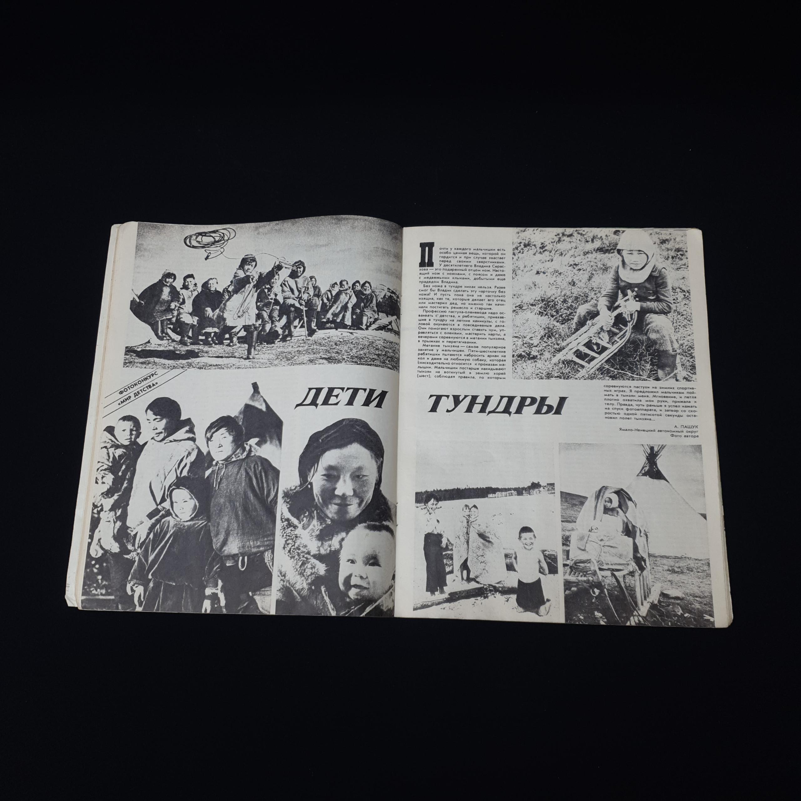 Картинка 4