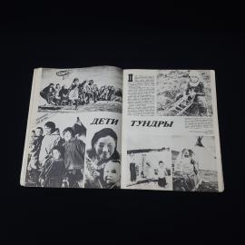 Картинка 4