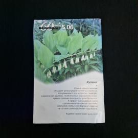 Картинка 2