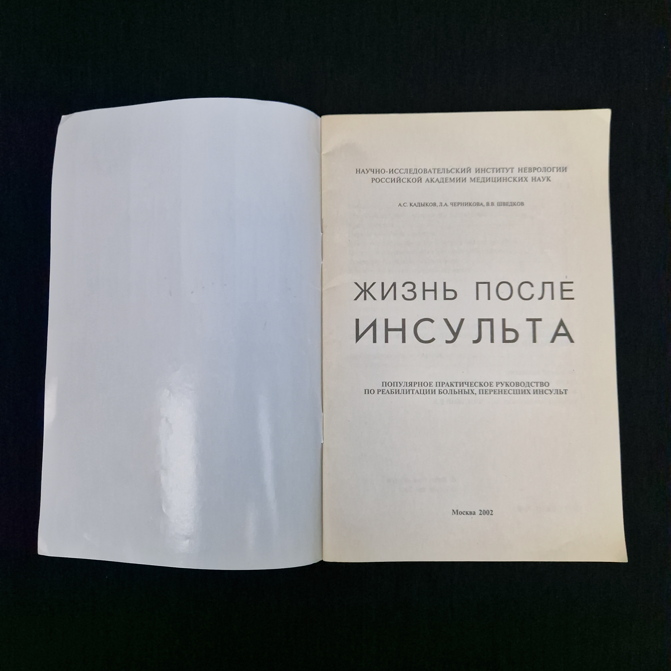 Картинка 3
