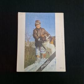 Картинка 2