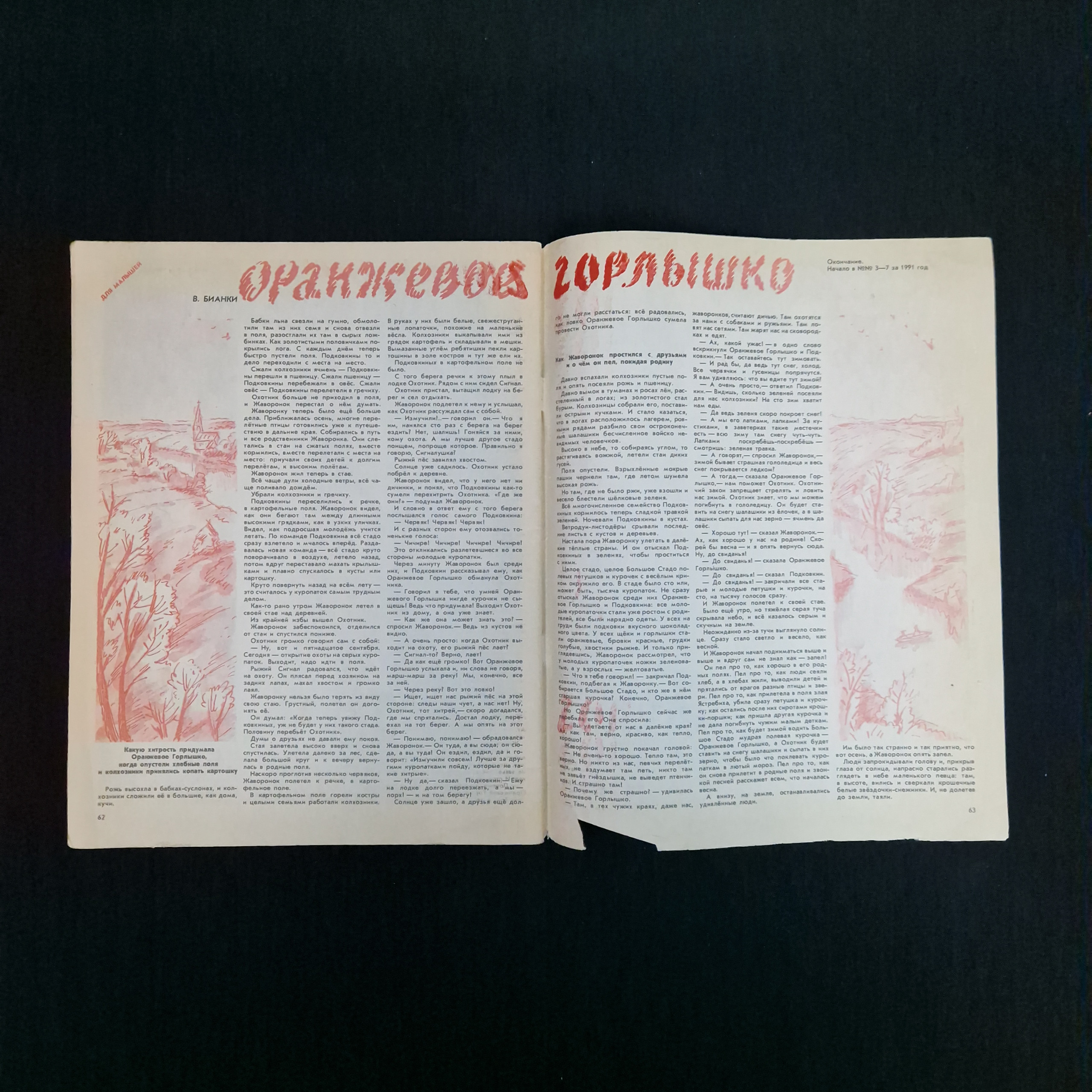 Картинка 5