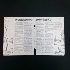 Картинка 5