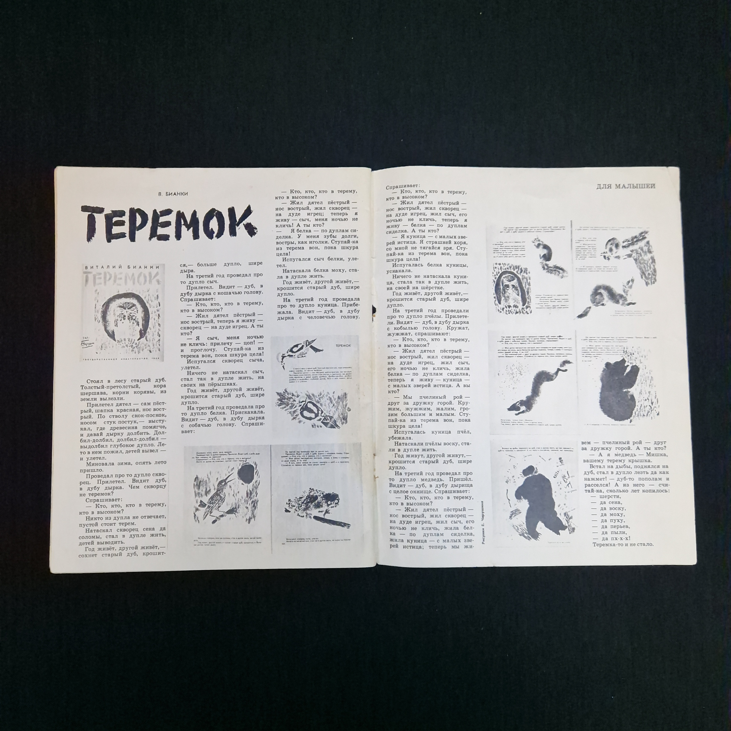 Картинка 5