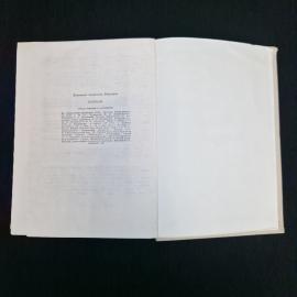 Картинка 6