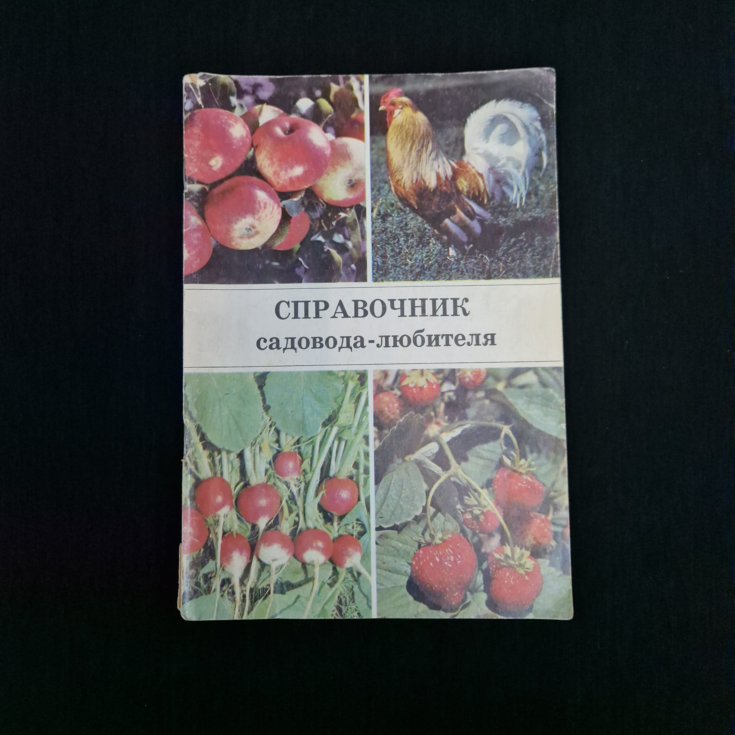 Картинка 1