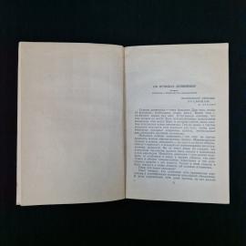 Картинка 3