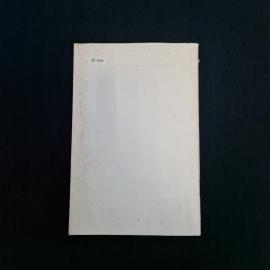 Картинка 2