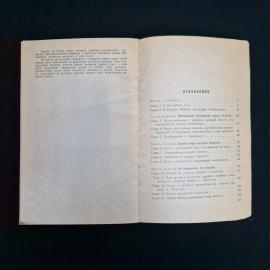Картинка 6