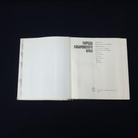 Картинка 4