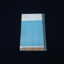 Картинка 3