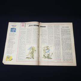 Картинка 3