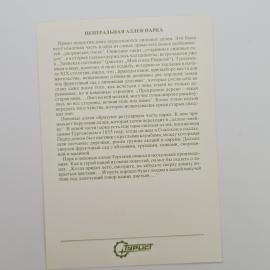Картинка 2