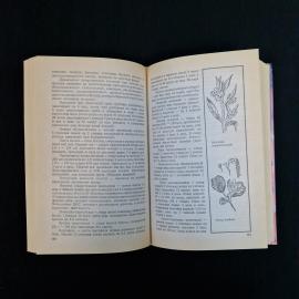 Картинка 5