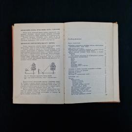 Картинка 7