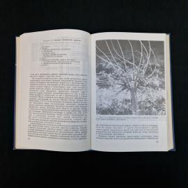 Картинка 6
