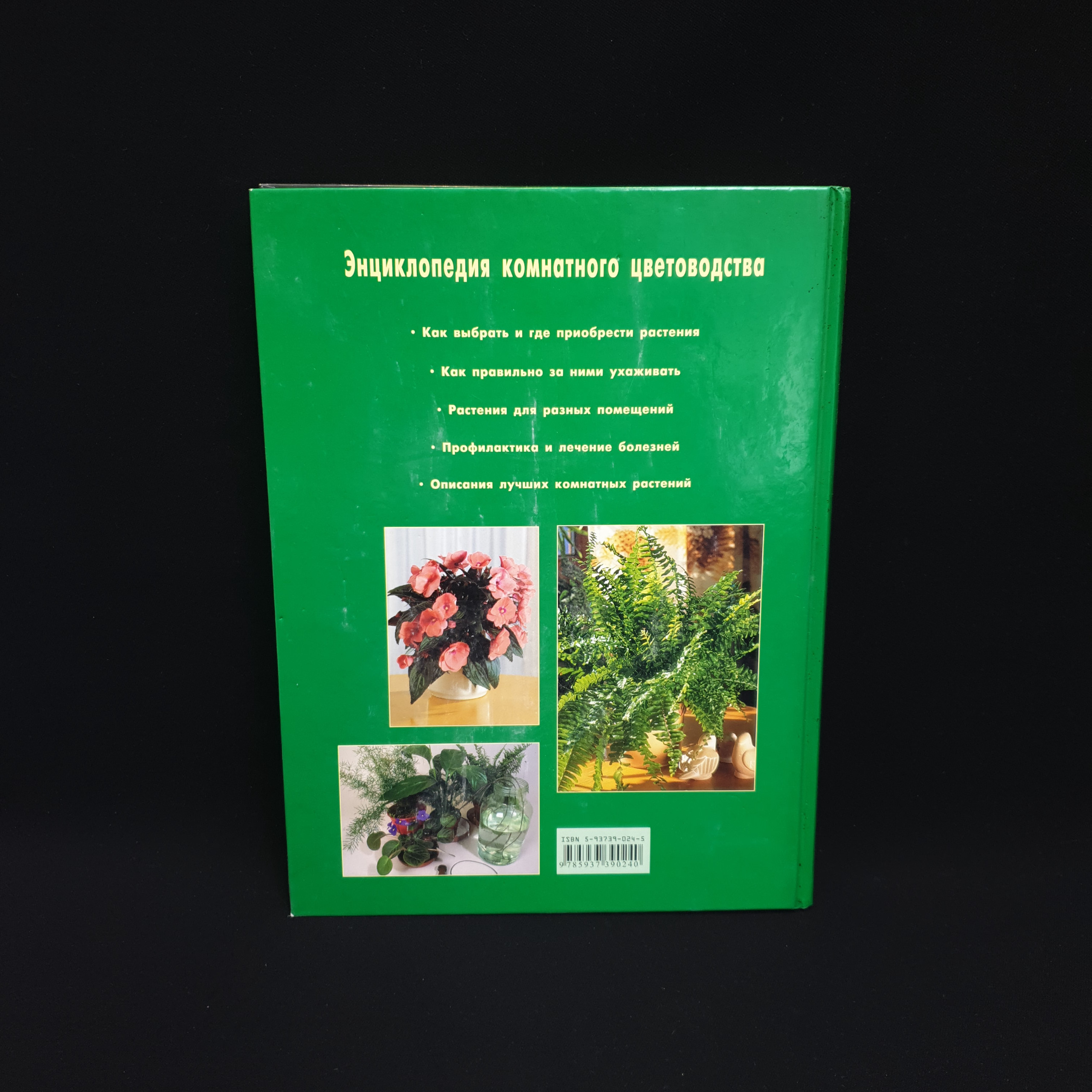 Картинка 2