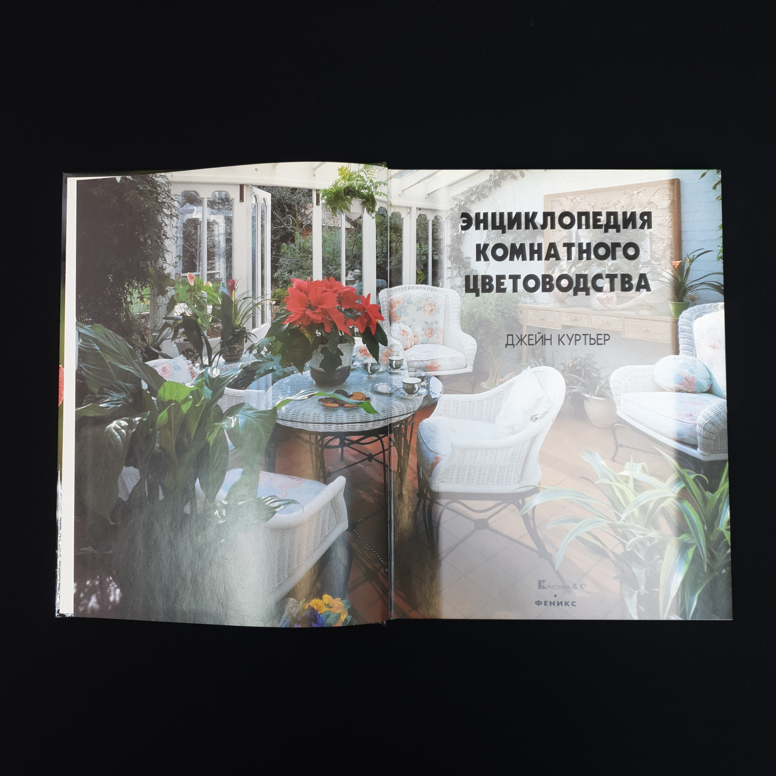 Картинка 4