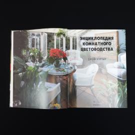 Картинка 4